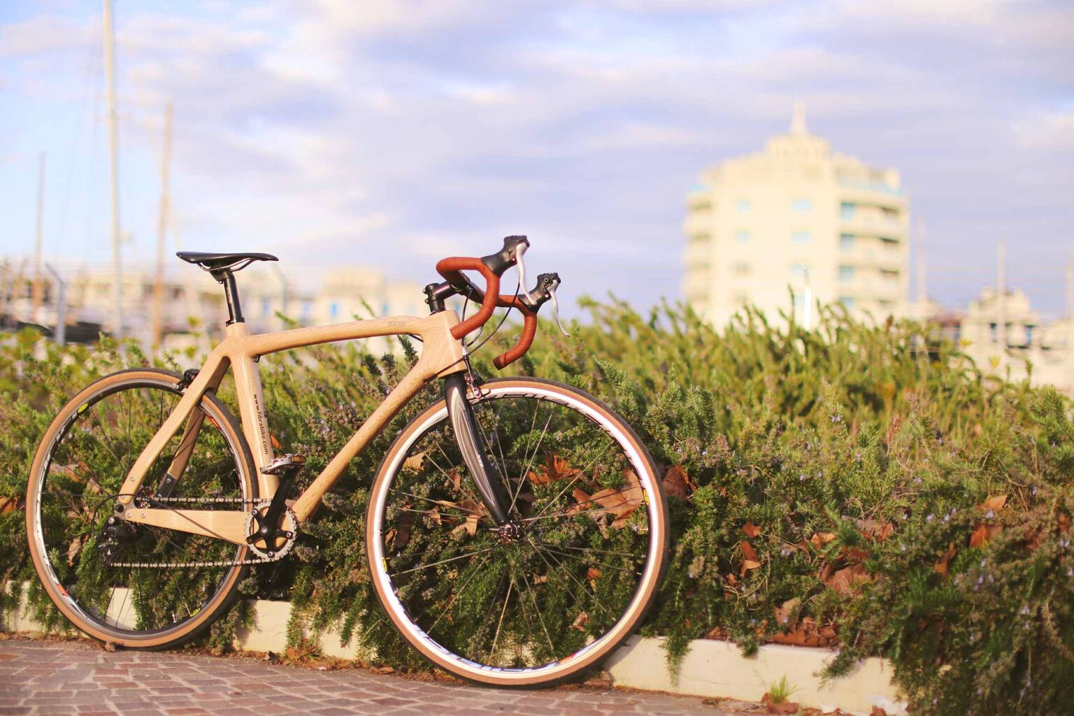 FIBRABIKE Bici in Legno Telai Biciclette in Legno [ITALY Wooden Bikes]